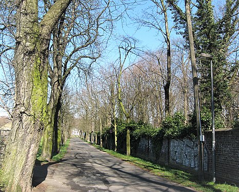 Alley at Schloss Wahn, Cologne-Wahn