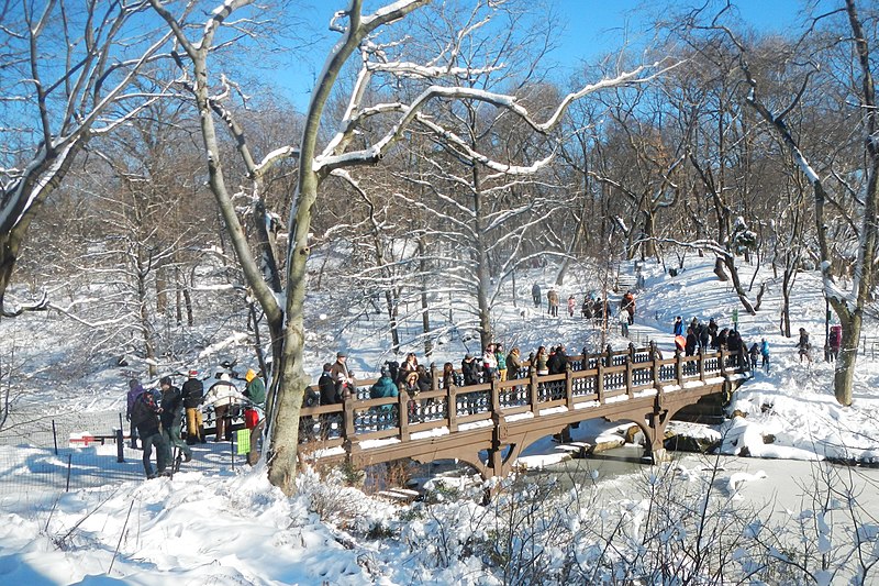 File:Cabinet Bridge CP snow sun jeh.jpg