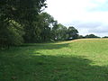 Thumbnail for Cadbury Castle, Devon