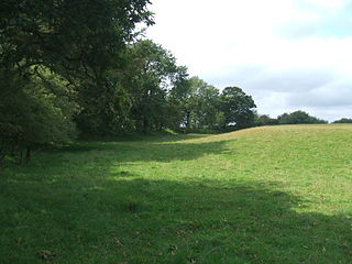 Cadbury Castle, Devon hillfort in Devon