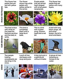 Examples of images and captions from three public datasets which are commonly used to train text-to-image models Captioned image dataset examples.jpg