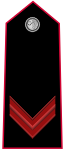 Carabinieri-OR-5.svg