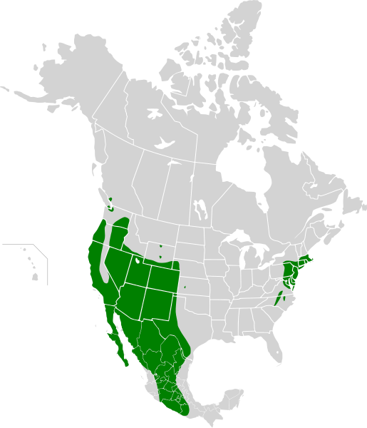 File:Carpodacus mexicanus map history2.svg