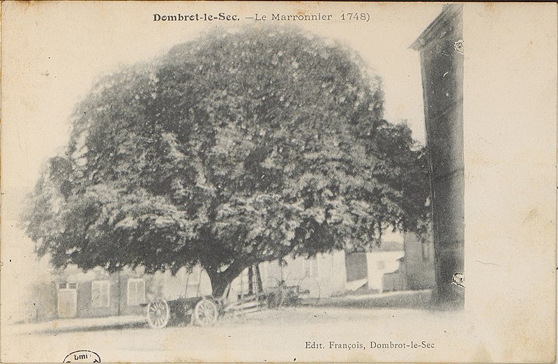 File:Carte postale, Dombrot-le-Sec, Le Marronnier 1748.jpg