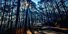 Children Park, Hamirpur,Himachal Pradesh Children Park, Hamirpur,Himachal Pradesh.jpg