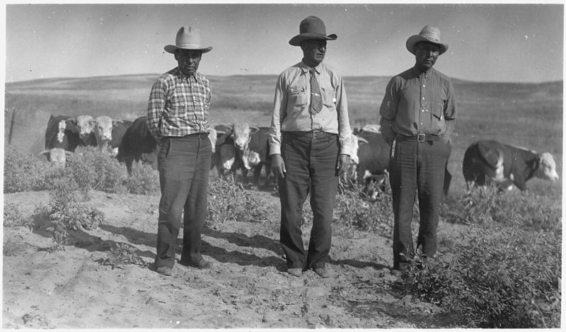 File:Claude Reming Hawk, Edward Iron Clouch, and James Rear Eagle near a herd of cattle - NARA - 285501.jpg