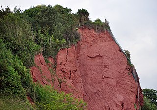 <span class="mw-page-title-main">New Red Sandstone</span>