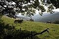 Col de la Sibérie