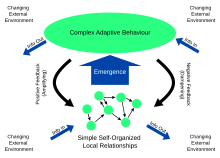 Сложная адаптивная система system.svg