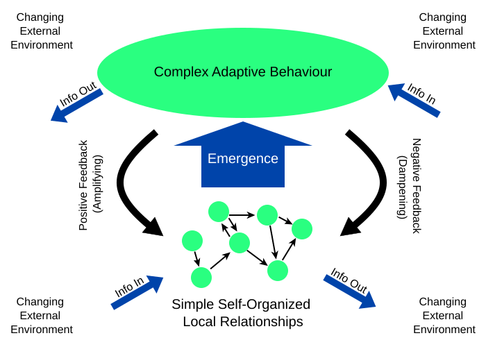 File:Complex adaptive system.svg