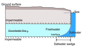 Coastal Hydrogeology