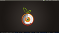 Conky on Ubuntu