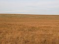 Миниатюра для Файл:Cow Rigg and Galloping Rigg (2) - geograph.org.uk - 2930115.jpg