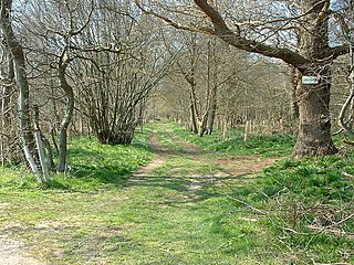 <span class="mw-page-title-main">Freston and Cutler's Woods with Holbrook Park</span>
