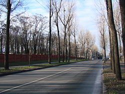 DSC07251-vul.Dorogozhitska.JPG