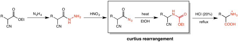 Esquema da síntese de aminoácidos de Darapsky