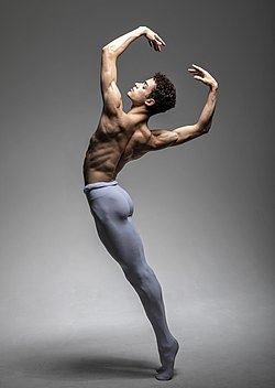 desirable Edition scald Ballet dancer - Wikipedia