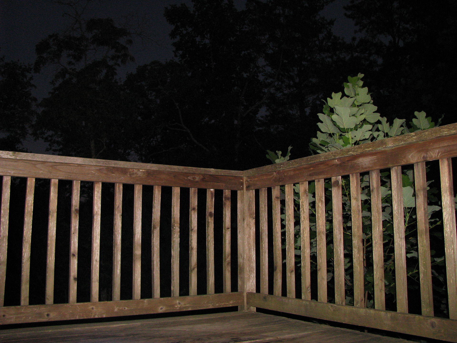 Deck railing - Wikipedia