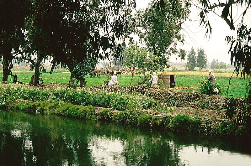 File:Delta del Nilo 1999 14.jpg
