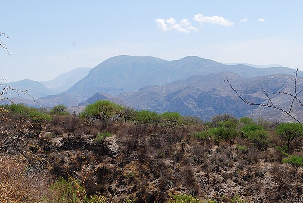 Semidesert area in the municipality of Peñamiller