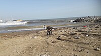 El dia després del temporal Glòria les destrosses eren notables i el mar s'havia endut bona part de la platja, però feia bon temps i les onades eren espectaculars.