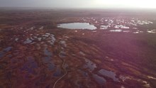 Arquivo: vídeo do drone do pântano Kakerdaja na Estônia (setembro de 2021) .webm