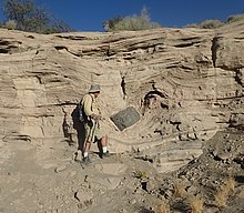 Dropstone within pyroclastic bed in the wall of Kilbourne Hole, Organ Mountains-Desert Peaks National Monument, New Mexico, United States Dropstone at Kilbourne Hole.jpg