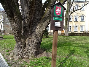 Vysoké Mýto: Historie, Pamětihodnosti, Ochrana přírody