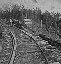 Thumbnail for Dun Mountain Railway