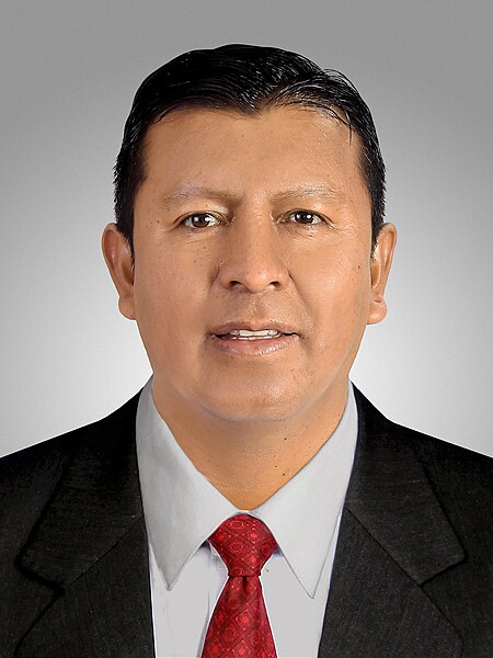 Fichier:Edwin Rosas Urzagaste. Official portrait, 2020. Chamber of Deputies of Bolivia.jpg