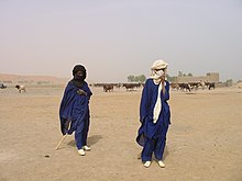 deux éleveurs peuls, habillés en bleu et avec un turban, des chaussures blanches. Leur troupeau de vaches derrière