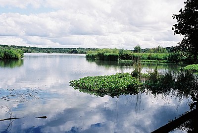 Fllet Pond