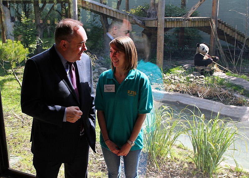 File:FM visits pandas during Zoo centenary celebrations (8947142923).jpg