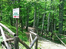 Una veduta del bosco di Faeto lungo il versante nord del monte Difesa