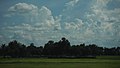 Farms and cloud - panoramio.jpg