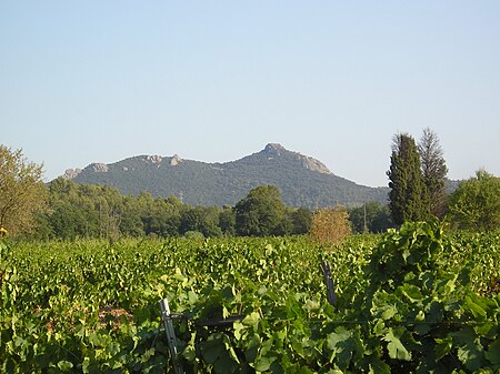 Fenouillet pano