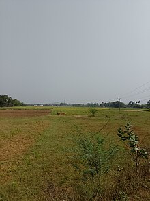 Crop fields in Gottigundala
