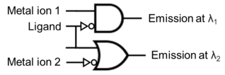 Block structure of a dual-input combinational molecular logic gate with metal ions as inputs (input "1") and fluorescence emission as output (output "1"). Figure 1. Block structure of a dual-input combinational molecular logic gate.png