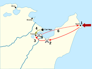 <span class="mw-page-title-main">Battle of the Bagradas River (255 BC)</span> Battle of the First Punic War