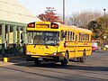 Thumbnail for File:First Student IC school bus 208821.jpg