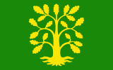 Flag of Vest-Agder.svg