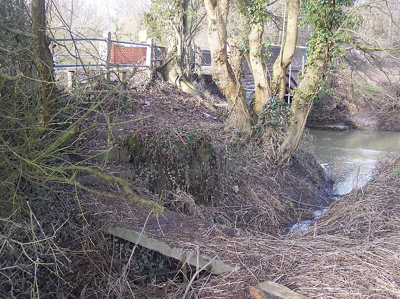 File:Footbridge near Long Bridge - geograph.org.uk - 1691066.jpg