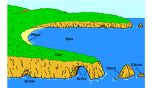 Diagramme illustrant l'érosion progressive des caps, le creusement des grottes évoluant en arche puis en stack, et en chicot.