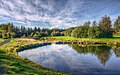 Pond in the park