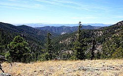 Gila National Forest.jpg