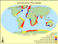 תמונה ממוזערת לגרסה מ־13:54, 1 בספטמבר 2009