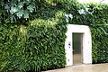 Green wall - Longwood Gardens - DSC01045.JPG