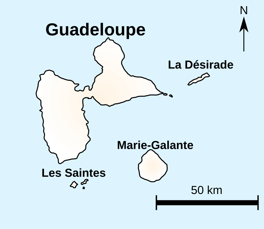 Carte vierge de la Guadeloupe