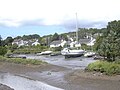 Gweek: East bank of river, from Quay.