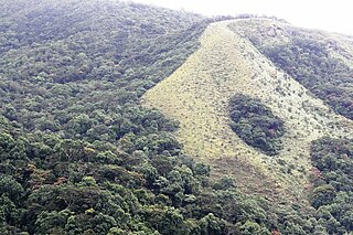 Hakgala Strict Nature Reserve